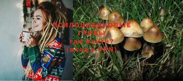 герыч Ладушкин