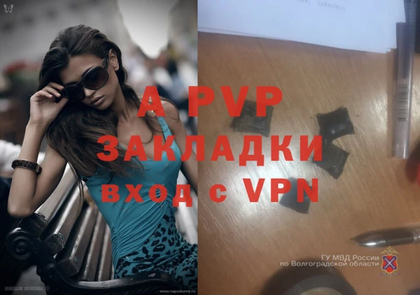 герыч Ладушкин