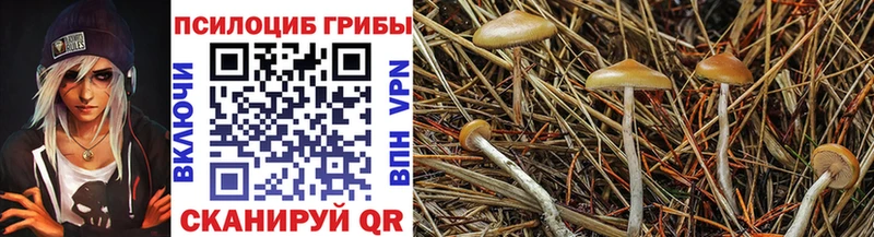 Псилоцибиновые грибы MAGIC MUSHROOMS  Купить  Ахтубинск 